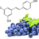 Resveratrol